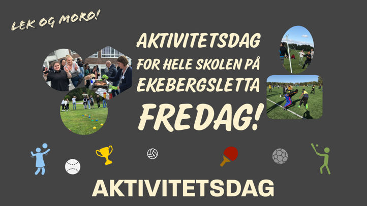 Aktivitetsdag info